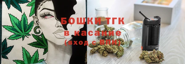 гашик Алексин