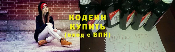 гашик Алексин