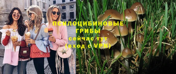 ПСИЛОЦИБИНОВЫЕ ГРИБЫ Алзамай