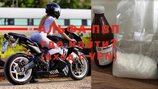 гашик Алексин