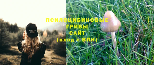 ПСИЛОЦИБИНОВЫЕ ГРИБЫ Алзамай