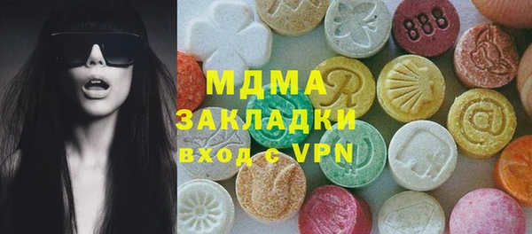 гашик Алексин