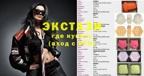 гашик Алексин