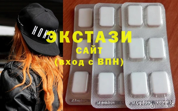 гашик Алексин