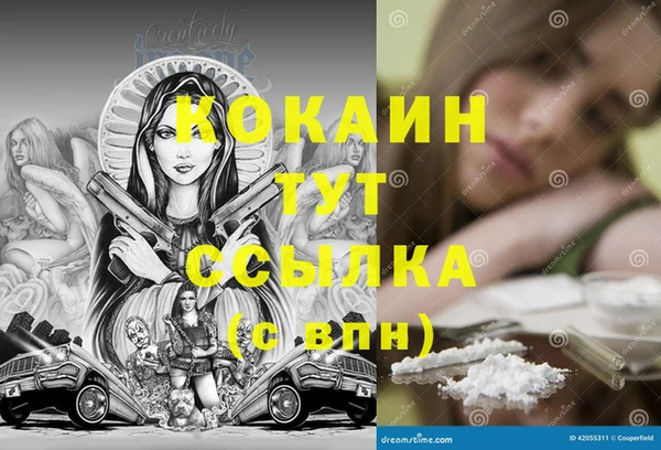ПСИЛОЦИБИНОВЫЕ ГРИБЫ Алзамай