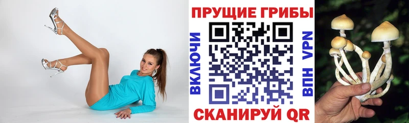 продажа наркотиков  Чёрмоз  Псилоцибиновые грибы Psilocybine cubensis 